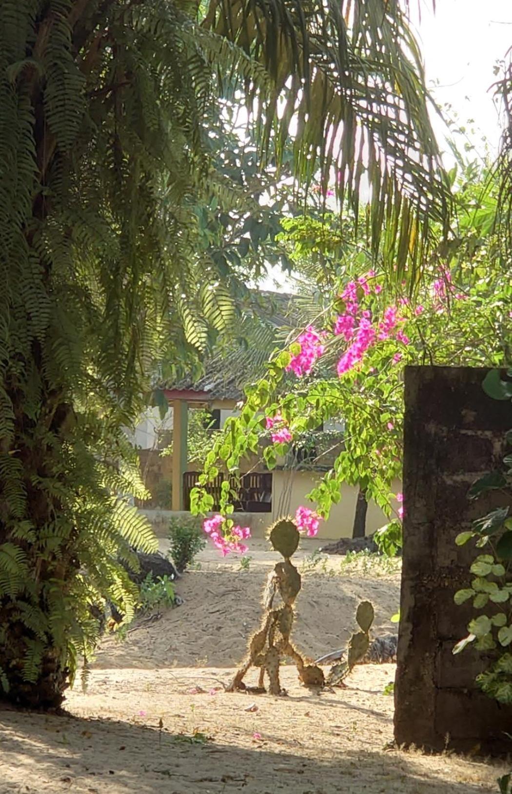 Rundbungalow Auf Lionsrest Grand-Bassam Exterior photo